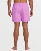 All Day Laybacks 16 Trunks - Fuschia