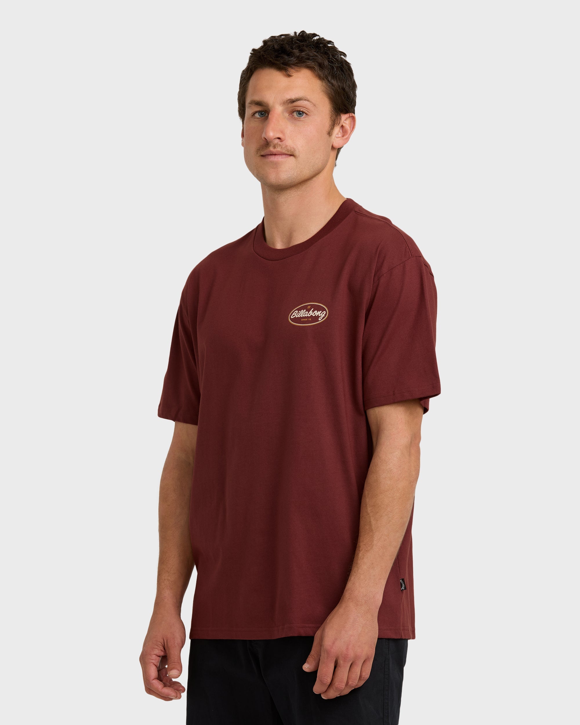 Walled Regular Short Sleeve T-Shirt - Plum
