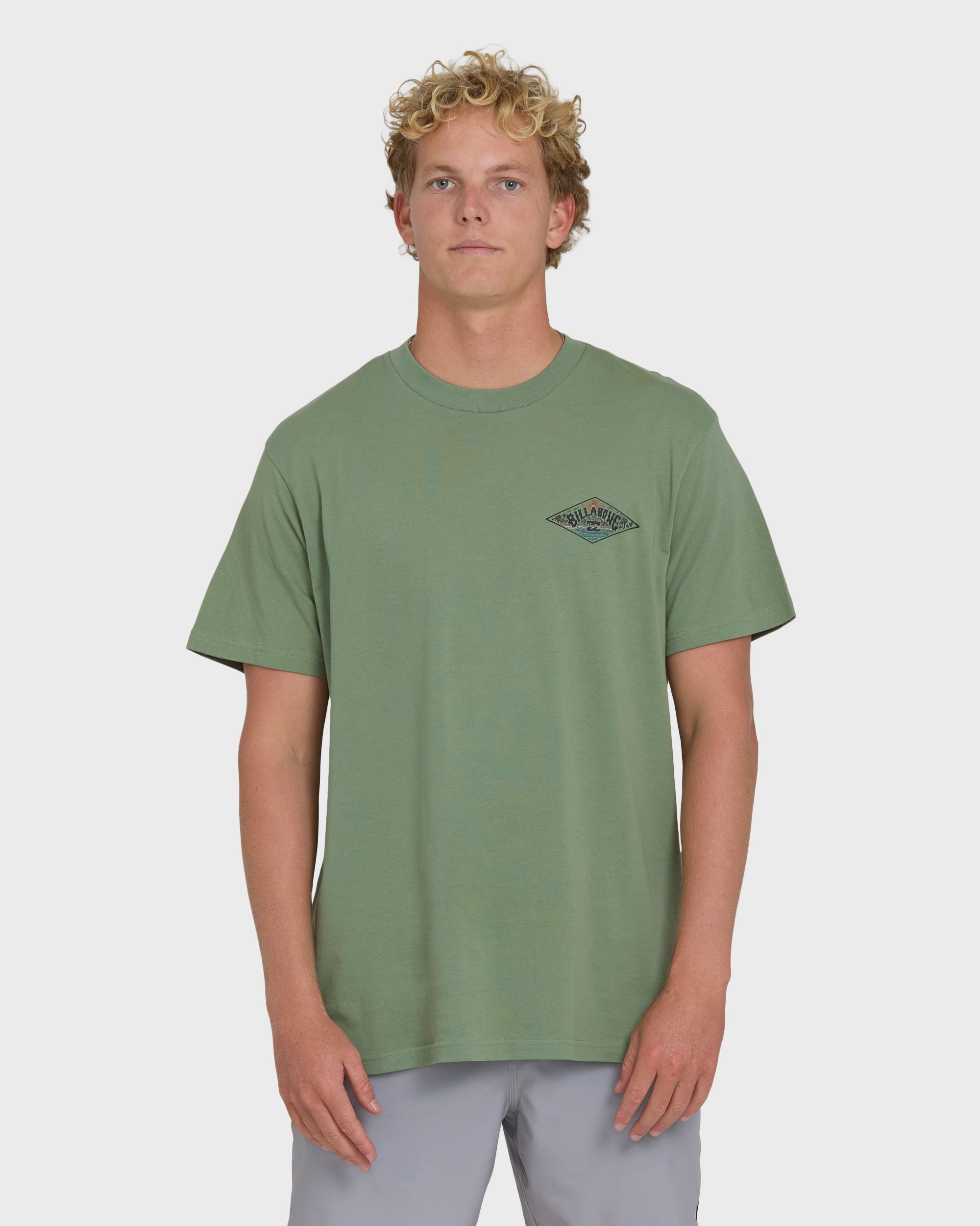 A/Div Arch Premium Short Sleeve Knit T-Shirt - Hedge Green