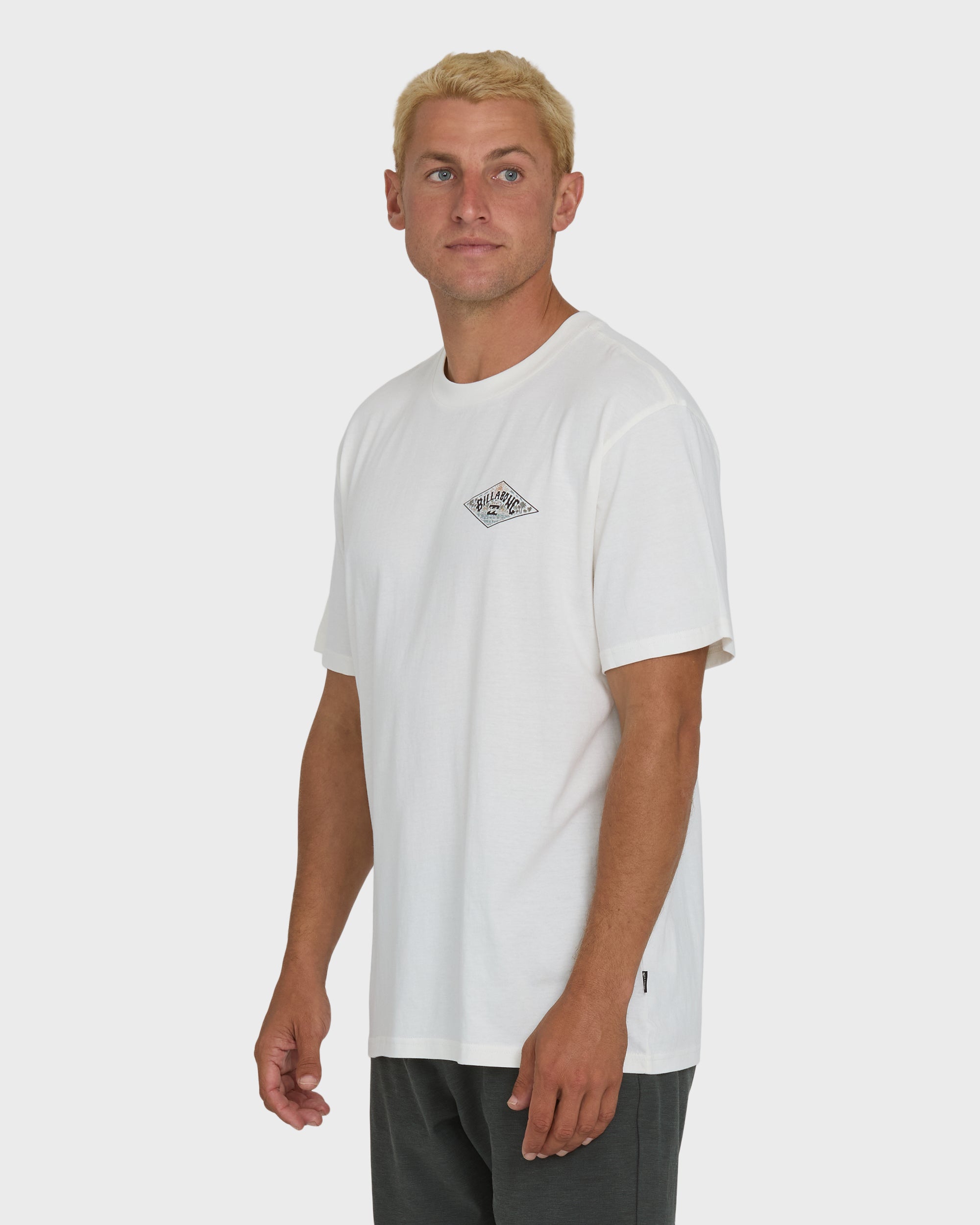 A/Div Arch Premium Short Sleeve Knit T-Shirt - Off White