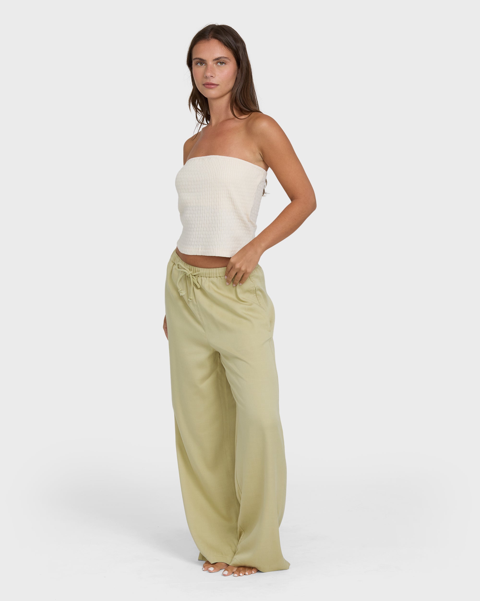 Wanderer Solid Pants - Cactus
