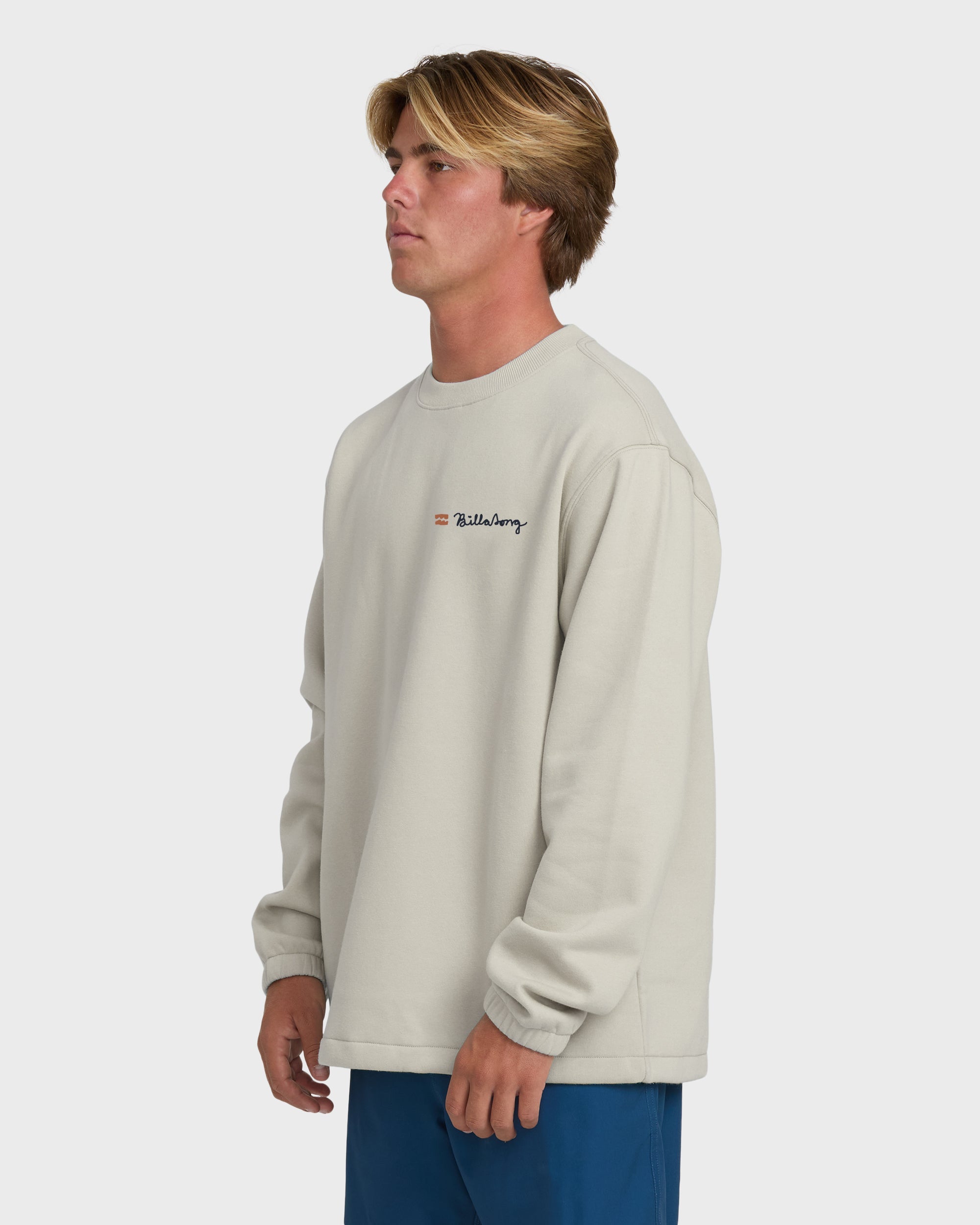 Compass Crewneck Sweatshirt - Dove