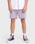 Crossfire Submersible 17 Amphibian Hybrid Shorts - Purple Ash