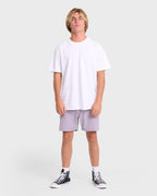 Crossfire Submersible 17 Amphibian Hybrid Shorts - Purple Ash