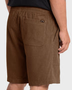 De La Cruz Cord 18 Amphibian Hybrid Shorts - Sepia