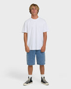 Bad Dog 22 Denim Shorts - Faded Denim
