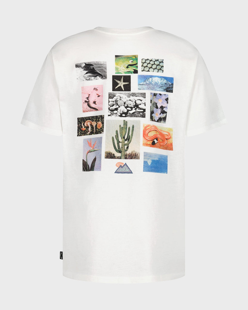 Boys Moments Short Sleeve T-Shirt