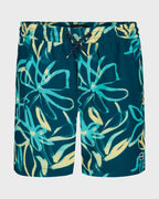 Boys Sundays Layback Trunks